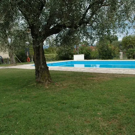 Lovely Elena - Garda 3*