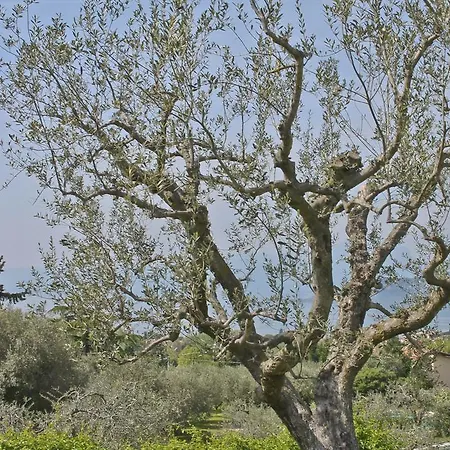 Lovely Elena - Garda Отель Бардолино